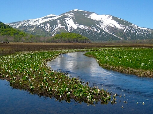 尾瀬沼