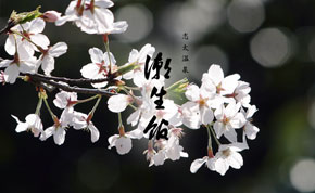 志太温泉　潮生館